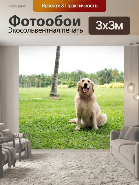 Фотообои Собака