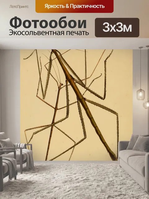 Фотообои Винтажная художественная иллюстрация бог
