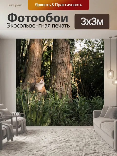 Фотообои Кошка