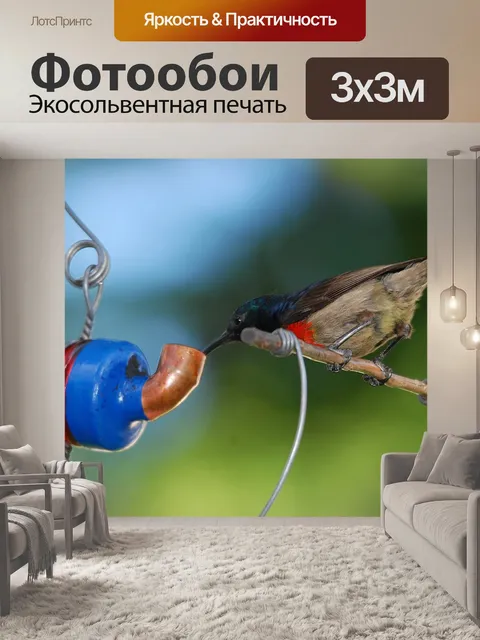 Фотообои Солнечная птица