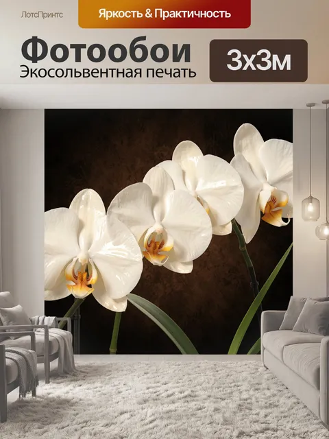 Фотообои Белые орхидеи на тёмном фоне
