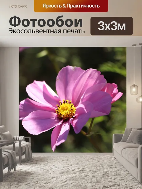 Фотообои Космос