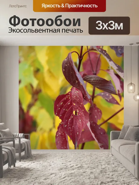 Фотообои Красочные осенние листья