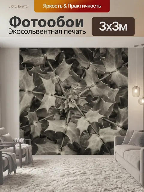 Фотообои Спиральные листья