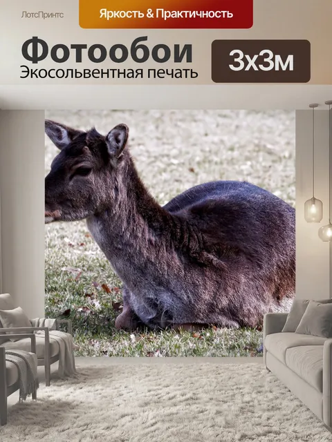 Фотообои Олень