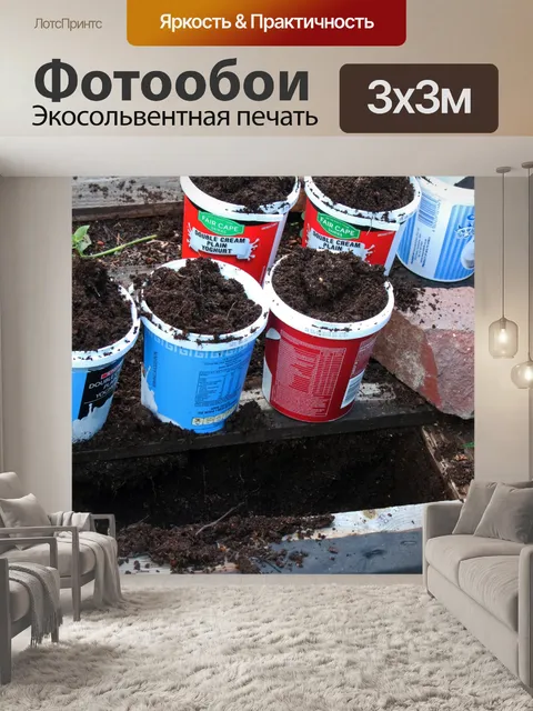 Фотообои пустые использованные емкости с землей