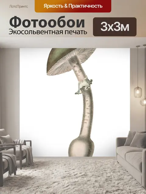 Фотообои Винтаж Клипарт Гриб Чемпион