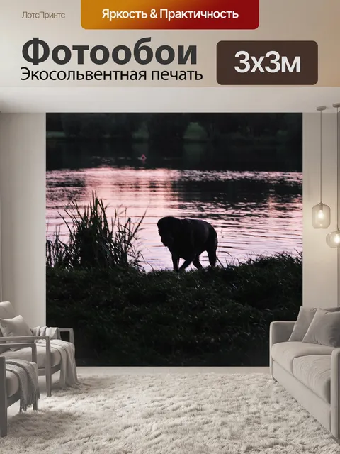 Фотообои Собака на берегу озера