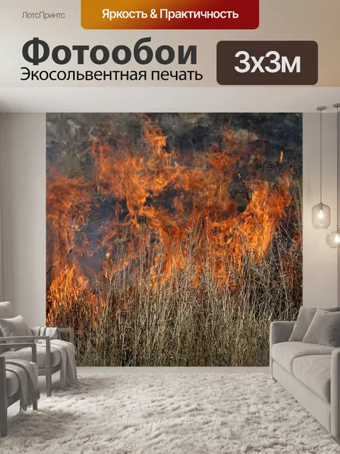 Фотообои Пожар