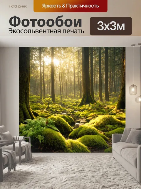 Фотообои летний лес с высокими деревьями, где солнце пробивается сквозь листву, создавая узоры света на земле