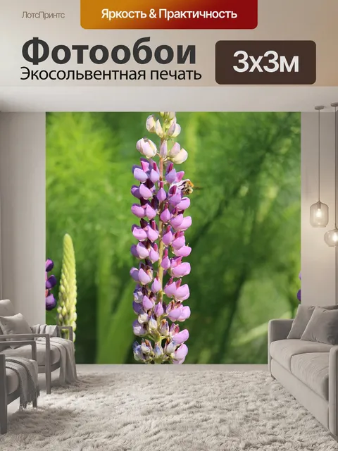 Фотообои Люпин