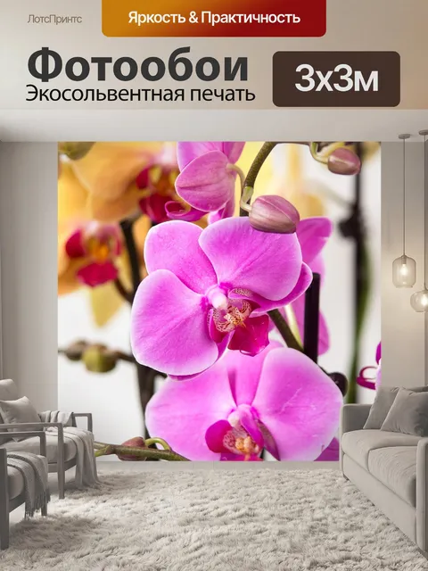 Фотообои Орхидея