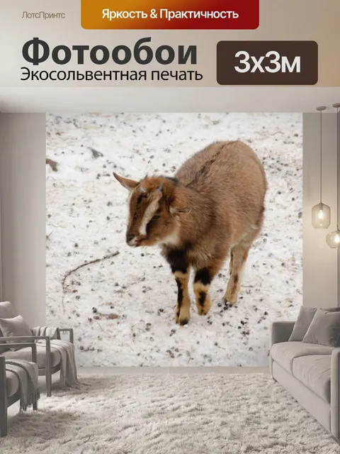 Фотообои Козленок