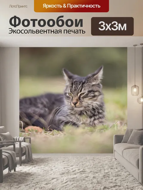 Фотообои Кошка