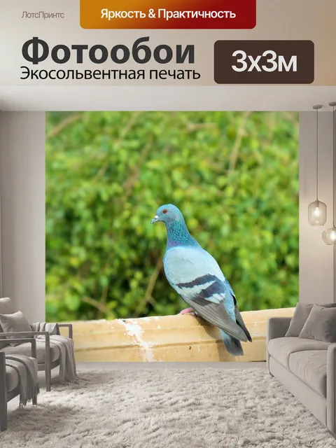 Фотообои Птица