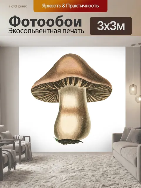 Фотообои Винтаж Клипарт Гриб Чемпион