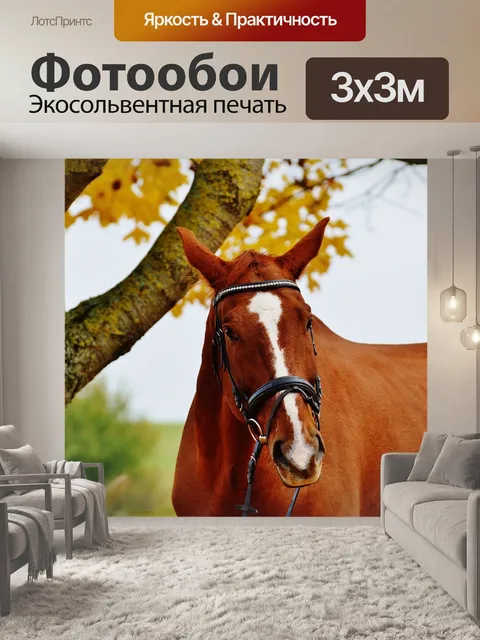 Фотообои Лошадь