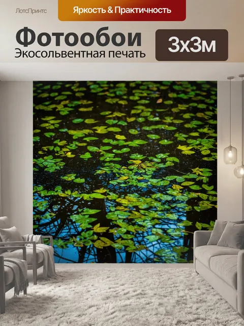 Фотообои джунгли в стиле минимализм: небольшая лужа воды, где отражаются листья, изображенные в виде абстрактных форм