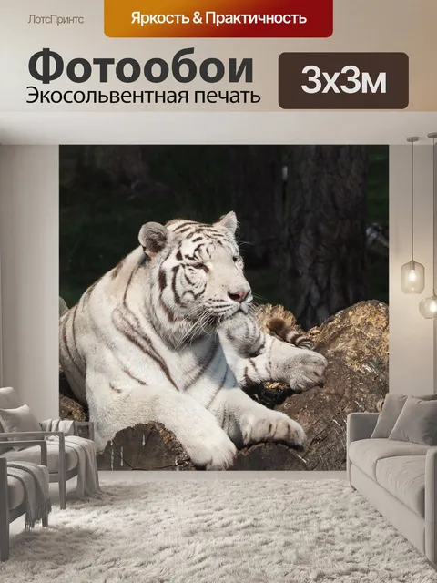 Фотообои Белый тигр