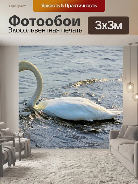 Фотообои Лебеди