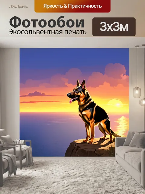 Фотообои немецкая овчарка, стоящая на утесе, смотрящая на бескрайний морской горизонт при заходе солнца