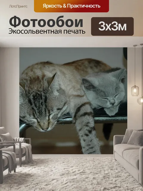 Фотообои Кошки