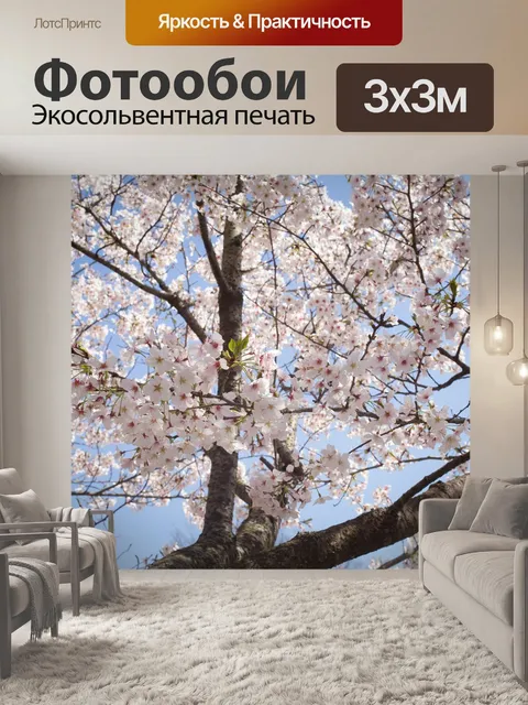 Фотообои Цветение вишни