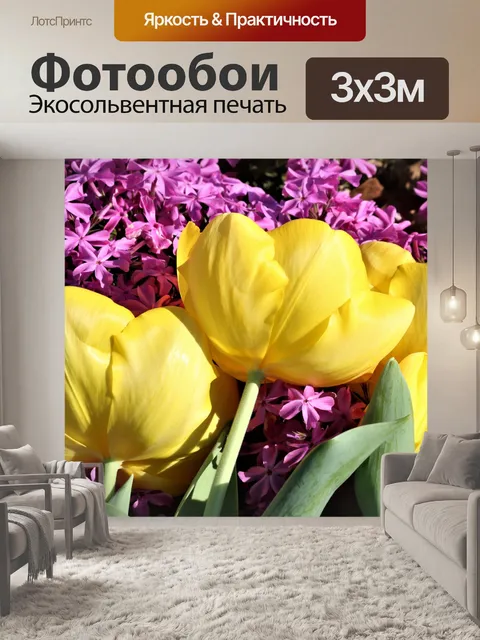 Фотообои Желтые тюльпаны на розовом