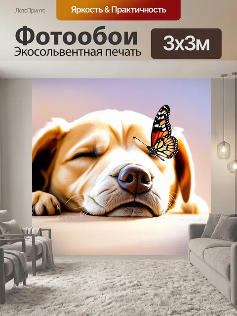 Фотообои бабочка на носу у счастливо спящего щенка