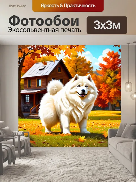 Фотообои самоед на фоне уютного загородного дома в осенний день, с желтыми и оранжевыми листьями, падающими на землю