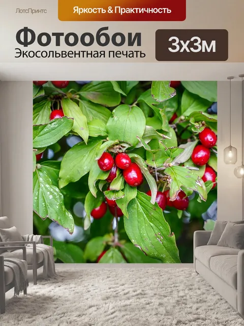 Фотообои Ягода