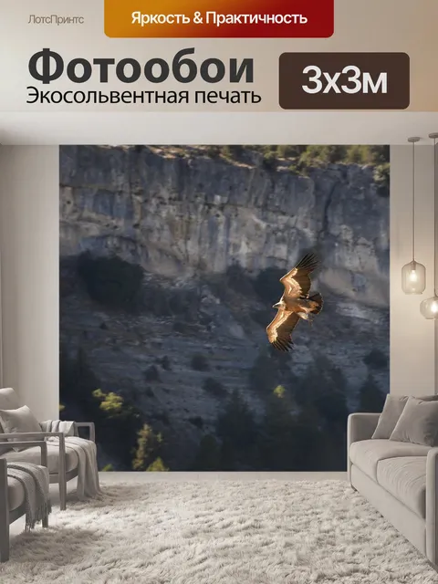 Фотообои Стервятник