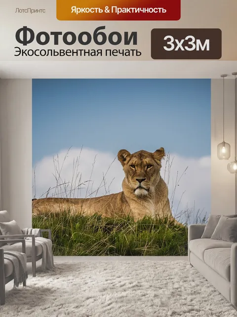 Фотообои Лев