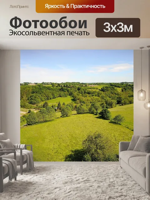 Фотообои Вид