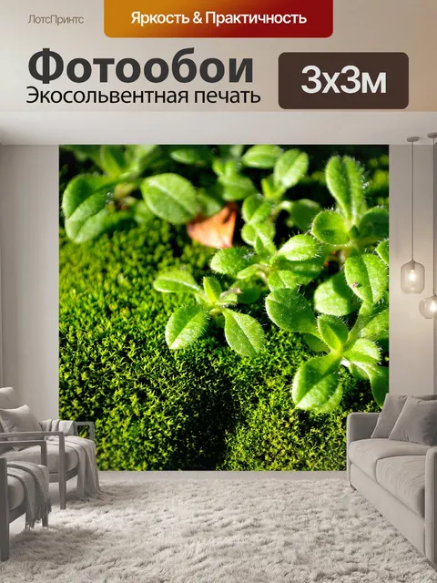 Фотообои зеленый мох макросов