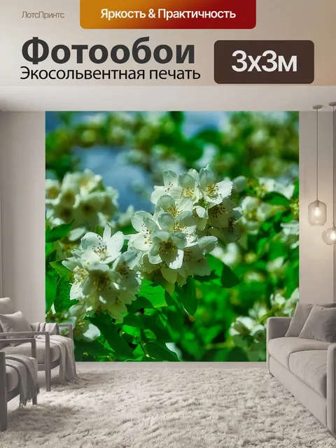 Фотообои Кустарник