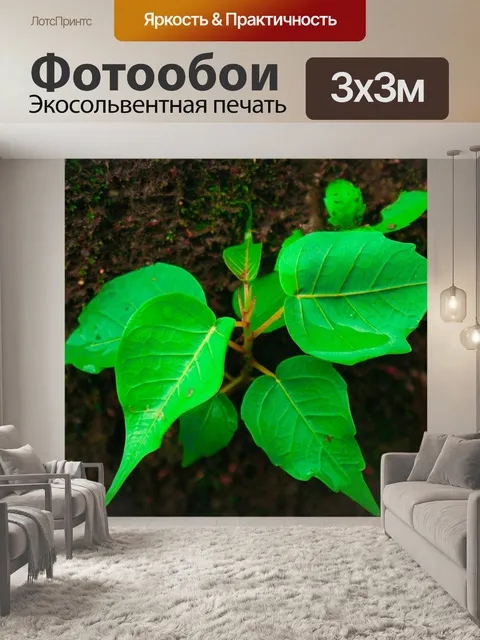Фотообои Мой