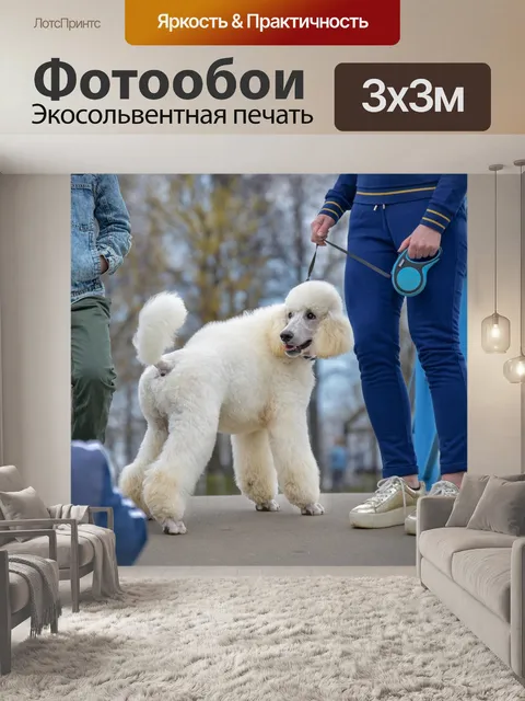 Фотообои Собака