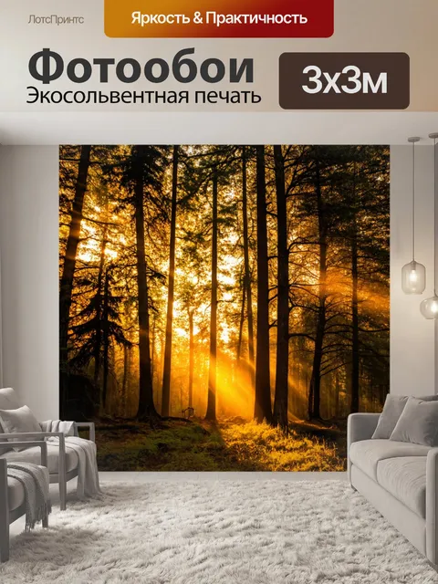 Фотообои с золотистым светом заката, проникающим сквозь деревья