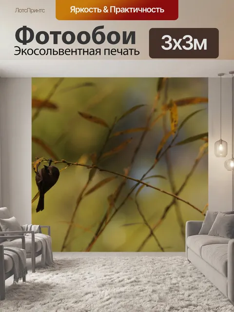 Фотообои Птица на ветке