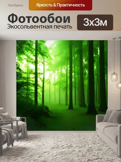 Фотообои утро: туманный лес с ярким светом