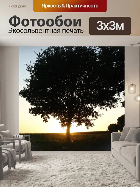 Фотообои Лес
