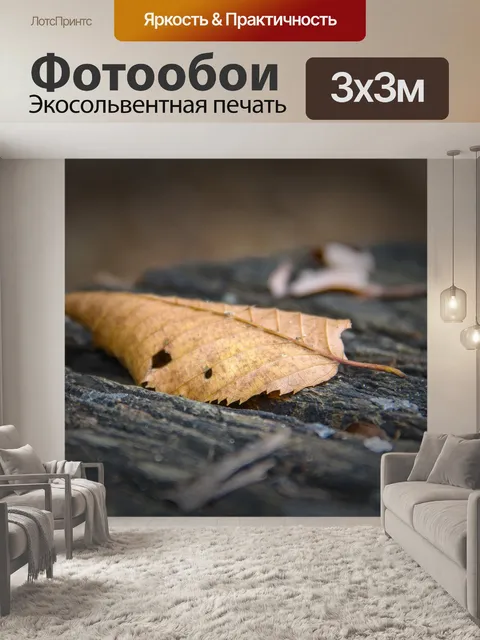 Фотообои Осенний лист