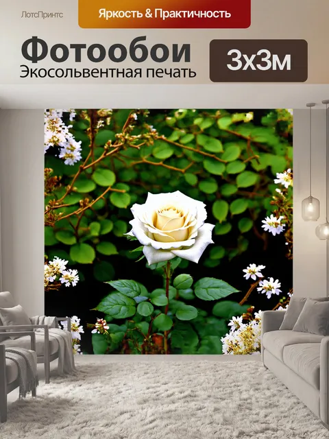 Фотообои одна белоснежная роза