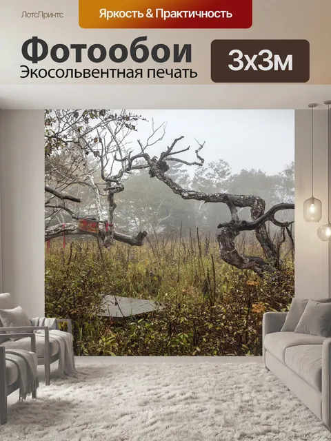 Фотообои Гора феникс