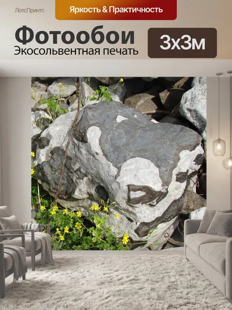 Фотообои Рама Rock
