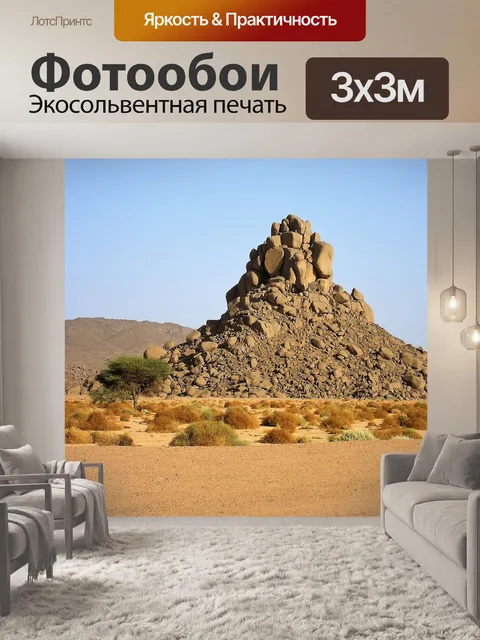 Фотообои Алжир