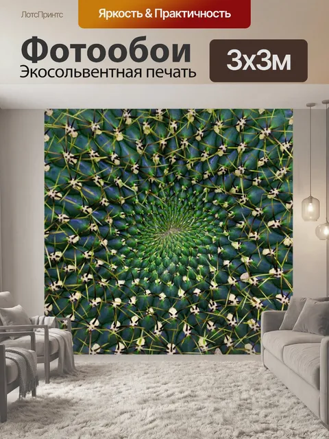 Фотообои Кактус