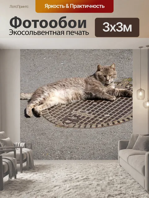 Фотообои Большая кошка лежит