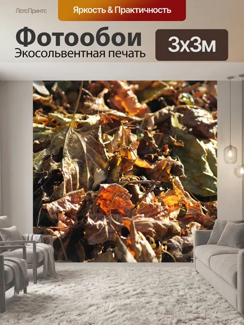 Фотообои солнечный свет на смятых золотых листьях